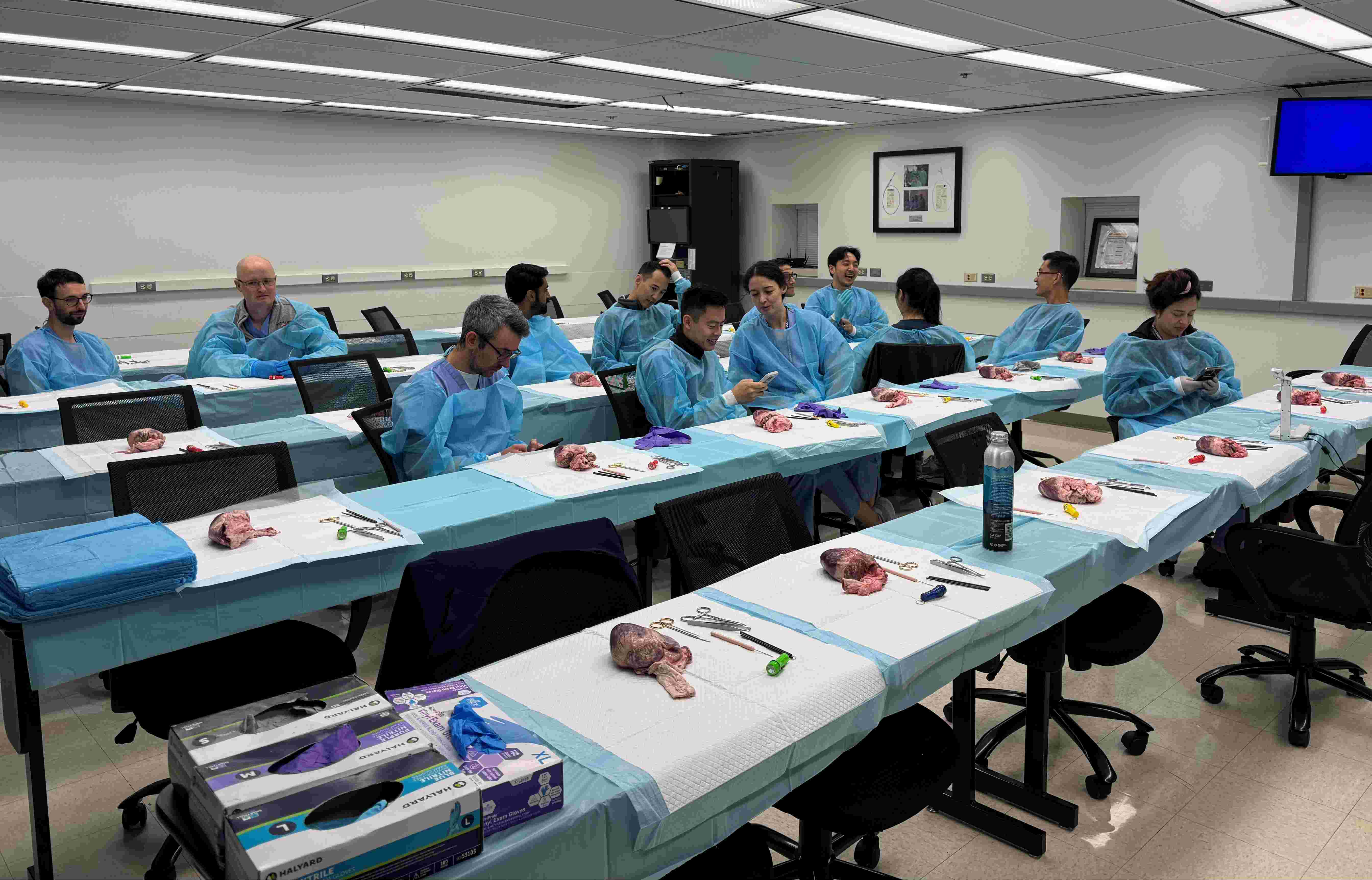 Heart Dissection Lab 2025