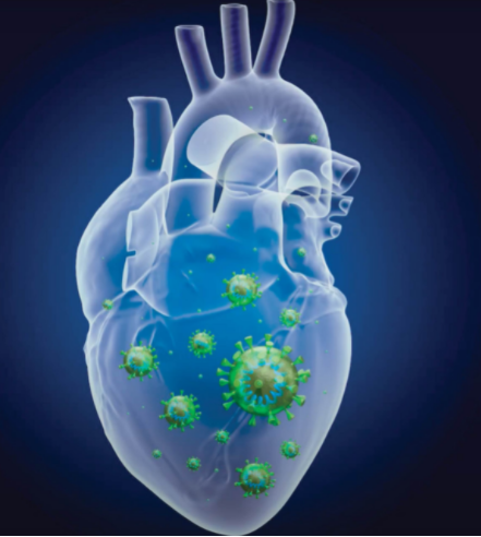 Heart with viruses graphic