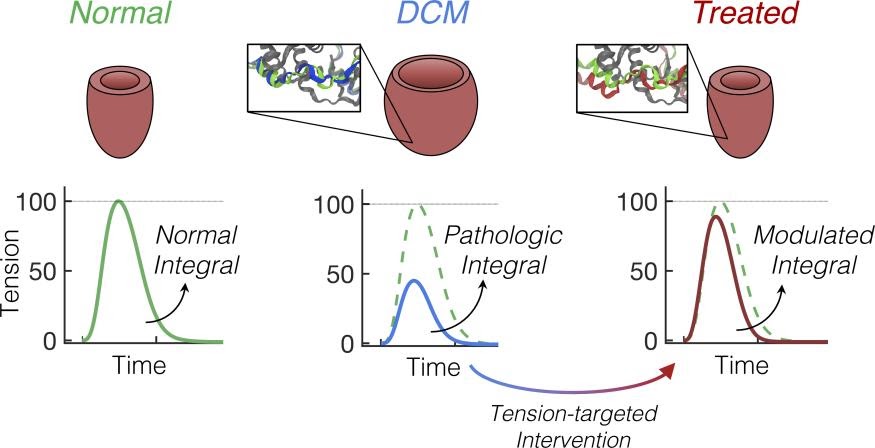 Moussavi-Harami Lab